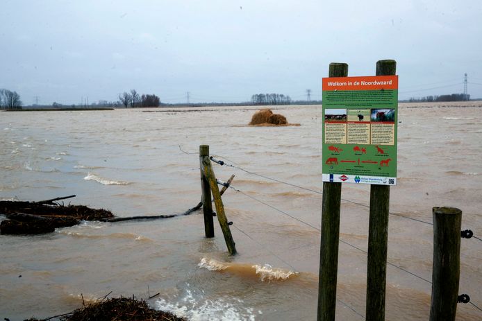 Hoogwater in de Noordwaard, februari vorig jaar. Het was een van de momenten waarop Waterschap Rivierenland onderzocht of het water mogelijk te hoge concentraties zouten of metalen zou bevatten. Die bleven binnen de norm.