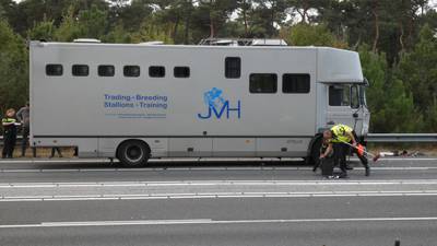 Botsing vrachtwagen met paarden zorgt voor flinke file A50