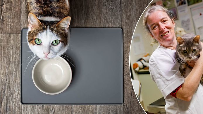 Myriam Hesta met kater Gucci (rechts).