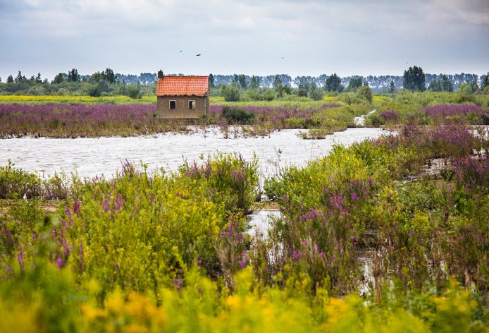 Natuureiland Tiengemeten trekt jaarlijks tienduizenden bezoekers.