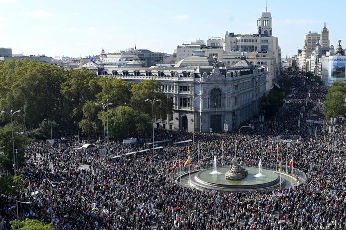 Honderdduizenden mensen kwamen in Madrid, Spanje, samen uit protest tegen de besparingen in de gezondheidszorg.