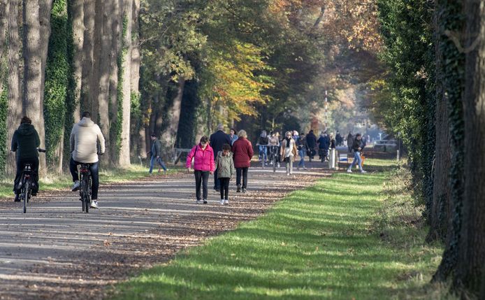 De Gravenallee is al sinds jaar en dag een lustoord voor wandelaars. Met dank aan de grafelijke familie Van Rechteren Limpurg.