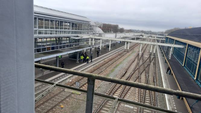 Perrons op station in Den Bosch ontruimd door agenten met kogelwerende vesten 