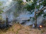 Brand bij Geffense bossen in Oss