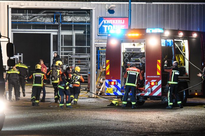 De brandweer in actie voor een brand in een kwekerij in Ter Aar.