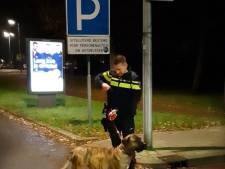 Politie redt alleen achtergelaten hond: eten, drinken en uitlaatbeurt zijn all in