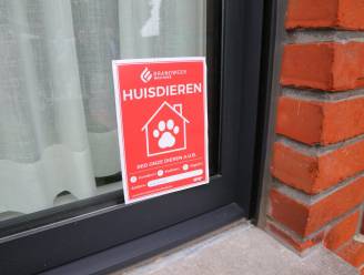 Deze sticker moet leven van huisdieren redden bij brand