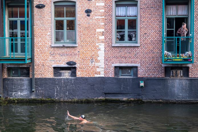 Zes presentatoren van De Warmste Week waagden zich aan een ijsberenduik in de Dijle.