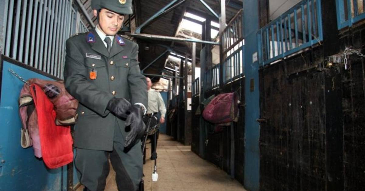 Militairen leggen ruiterexamen af | Hardenberg