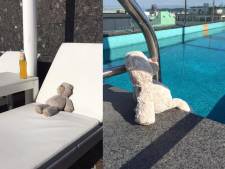 L'incroyable aventure de Balli, l'ours en peluche