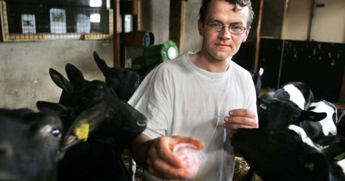 Gezond ijsje van zeldzame 'sik'