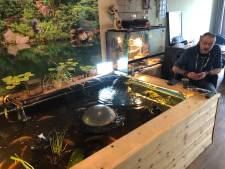 Koikarpers in woonkamer en slangen in slaapkamer, mag dat?