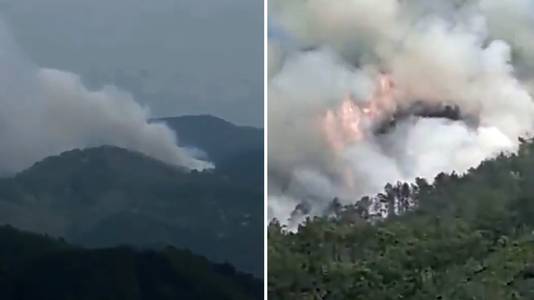 Si dice che l'incidente abbia provocato un grande incendio in una zona boschiva.