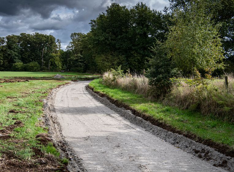  Door de weides van het landgoed 't Medler is een ondiepe slenk gegraven, die water langer vasthoudt. Beeld Koen Verheijden