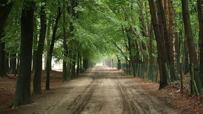 Eropuit met de gravelbike: fietsen langs de Lieve naar de Lembeekse bossen