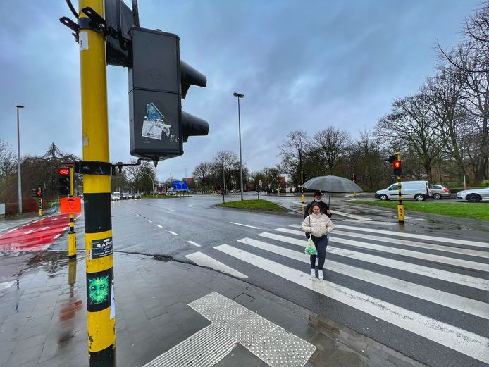 Vang de koningin van de Aziatische hoornaar en stop ze in de diepvries”:  Brugge gaat strijd aan met exoot en rekent daarvoor ook op eigen inwoners, Brugge