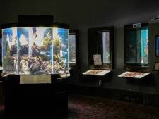 Aquarium, insectarium, Maison de la Science, les musées universitaires liégeois à nouveau ouverts