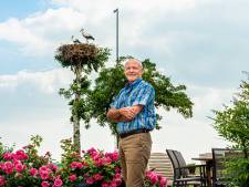 Heel de wereld geniet van de ooievaars in Dicks tuin: ‘We krijgen zelfs geboortekaartjes’