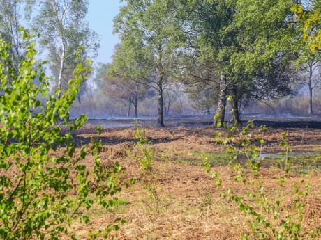 Brandteam Zuid-Nederland bijna paraat om met motorzaag en zweep vlammen in de natuur te doven