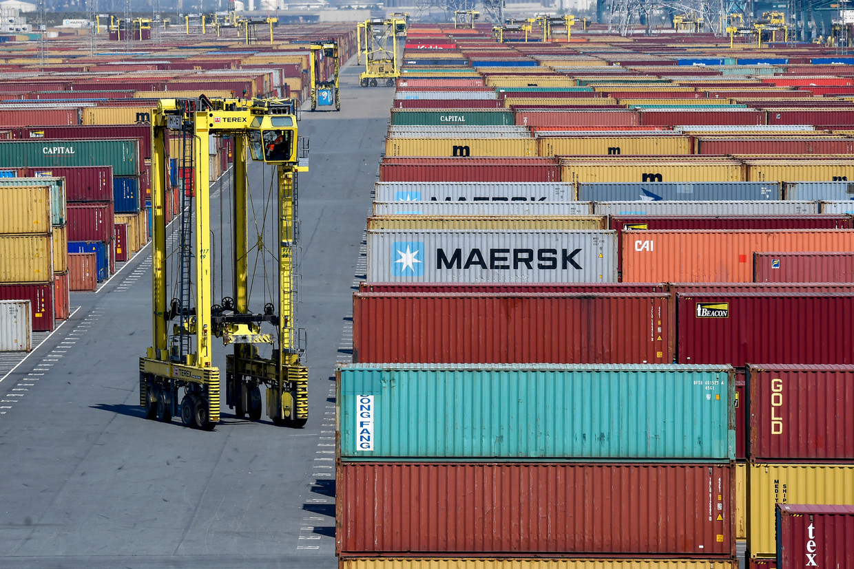 De containerterminal in de haven van Antwerpen.  Beeld BELGA