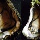 Bizarre vondst: 10 parels in een oester