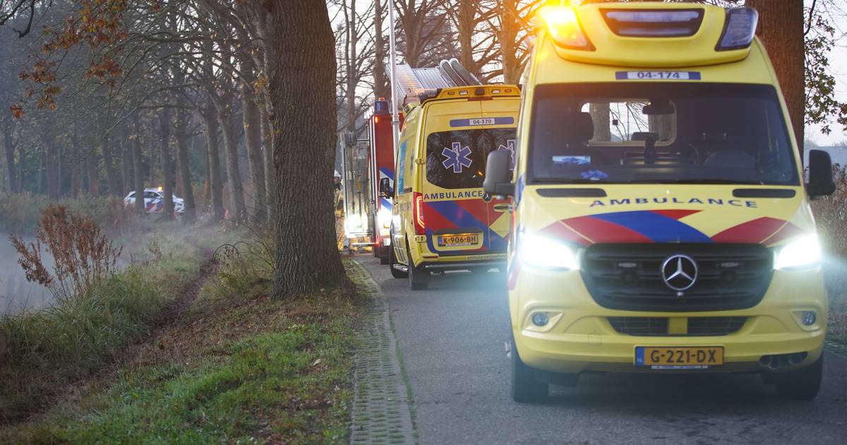 Bestuurder overleden na botsing tegen boom.