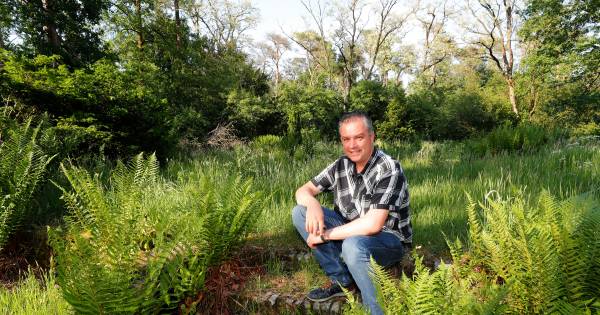 Verleiden tot wandeling naar verborgen Eliasvilla in Sterksel