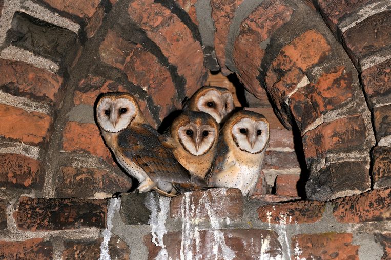 Klimaatactivisme Als Religie Dit Zijn De Voors En Tegens Trouw