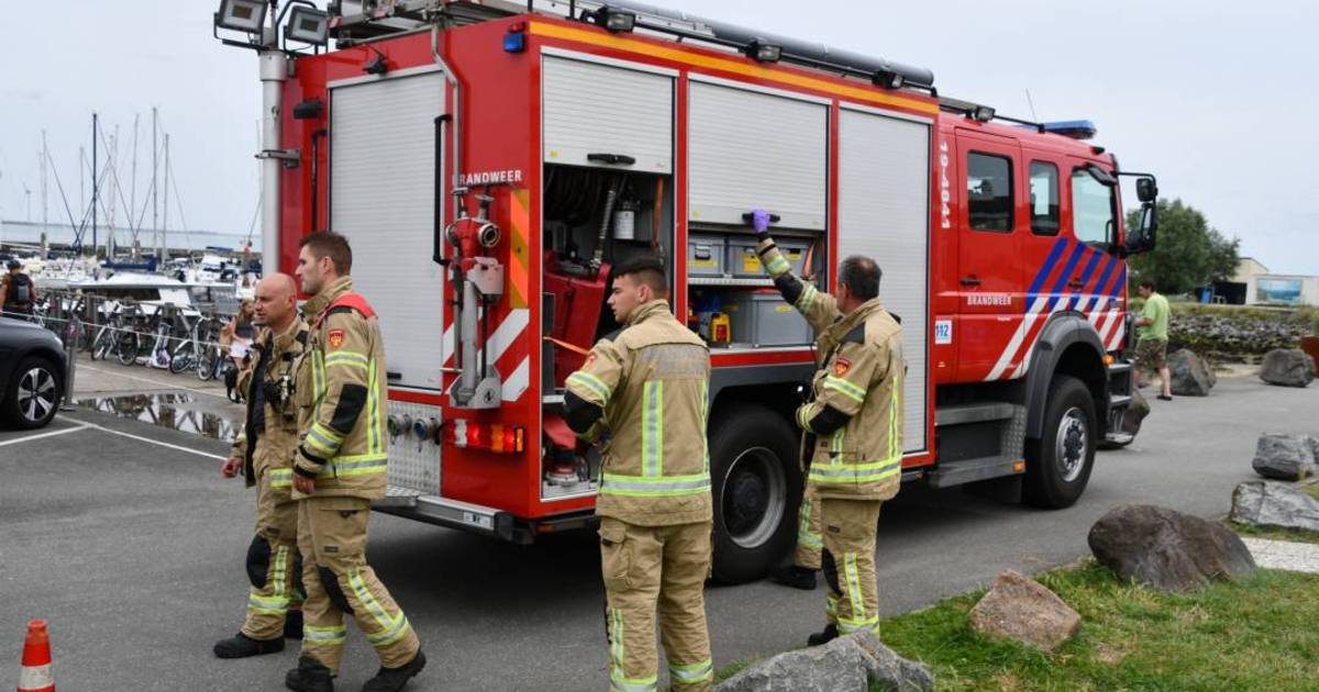 Hulpdiensten massaal ter plaatse in Kamperland, nadat vrouw in water jachthaven terecht komt