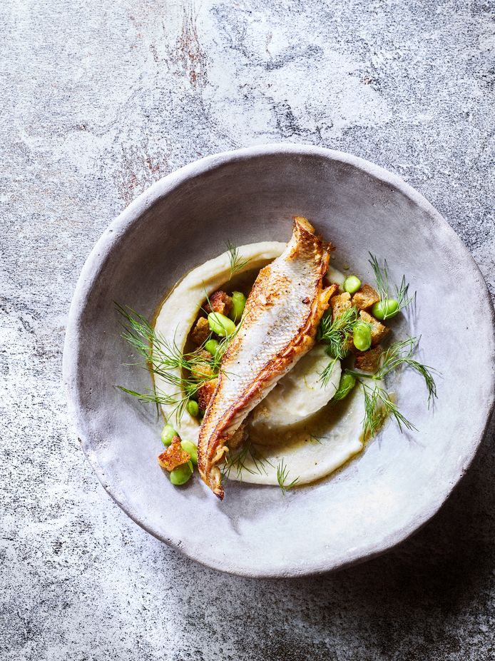 mond Controle leef ermee Koken met mosselen en ander lekkers uit de Noordzee: 5 frisse visgerechten  van foodie Elise Van de Poele | Nina kookt | hln.be