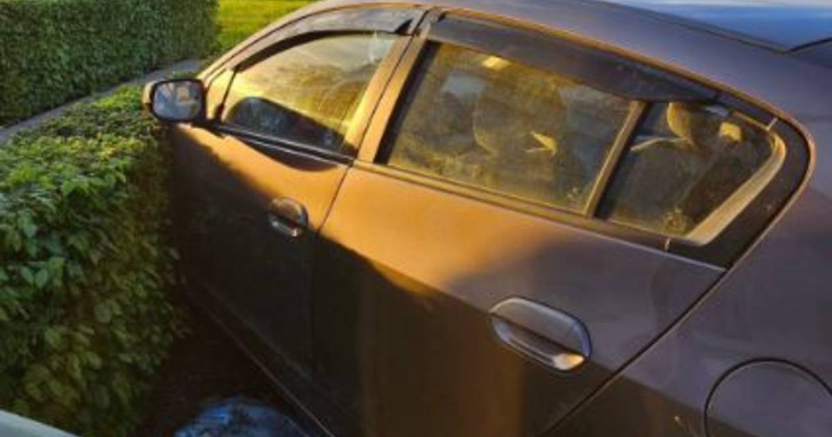 Politie achtervolgt gestolen auto op A58, dollemansrit eindigt in heg in België