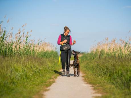 Ranzige vondst bij hagelnieuw pad in Gelderland: ‘Ik schaam mij er bijna voor mens te zijn’