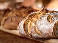 Sommige bakkers blijken nog varkensvet als broodverbeteraar te gebruiken: hoe weet je of het in jouw brood zit?