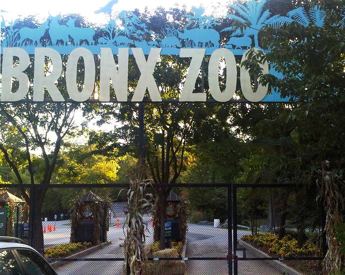 De ingang van Bronx Zoo, waar de besmette tijger Nadia verblijft.