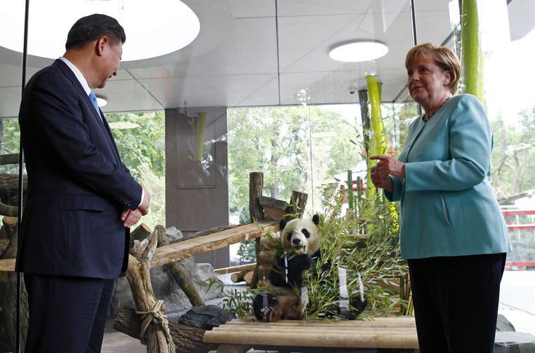 Angela Merkel en de Chinese leider Xi Jinping. Volgens De Groenen was Merkel te aardig voor dit soort autocratische leiders. Beeld EPA