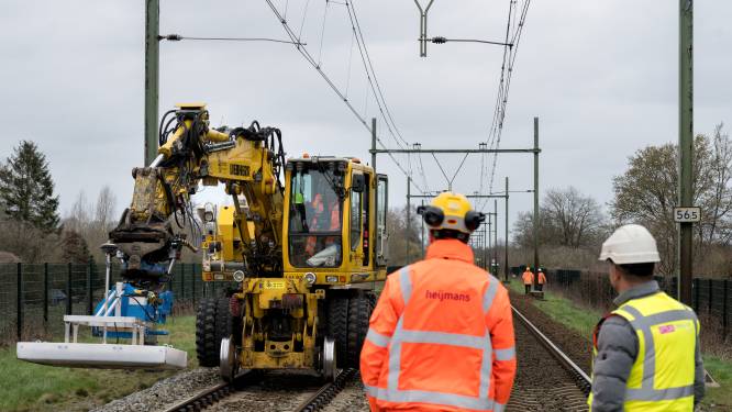De das was bijna uitgestorven, maar doet het nu (te) goed: ‘Spuit in de kont is nu enige oplossing in Esch’