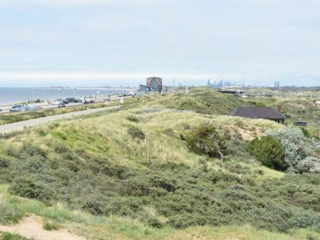 Lekker uitwaaien met je hond op het strand van Bloemendaal en Zandvoort: dit moet je weten