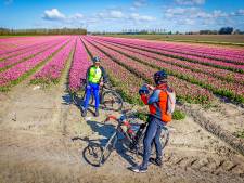 De regio heeft z'n eigen Keukenhof: eerste tulpenvelden staan in bloei én dat levert mooie foto's op