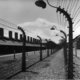 Dagboekfragment: De schoorstenen van Auschwitz brokkelen één voor één af