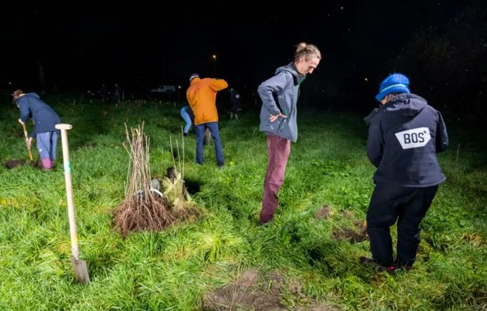 Bosactivisten hebben dinsdagnacht in Oudenaarde bomen aangeplant op een braakliggend terrein van de Vlaamse Waterweg.