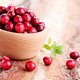 Serveer eens cranberrytaart bij wildzwijnschouder