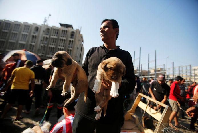 Een Iraakse man verkoopt zijn honden op de huisdierenmarkt in Bagdad. Foto Khalid Al-Mousily