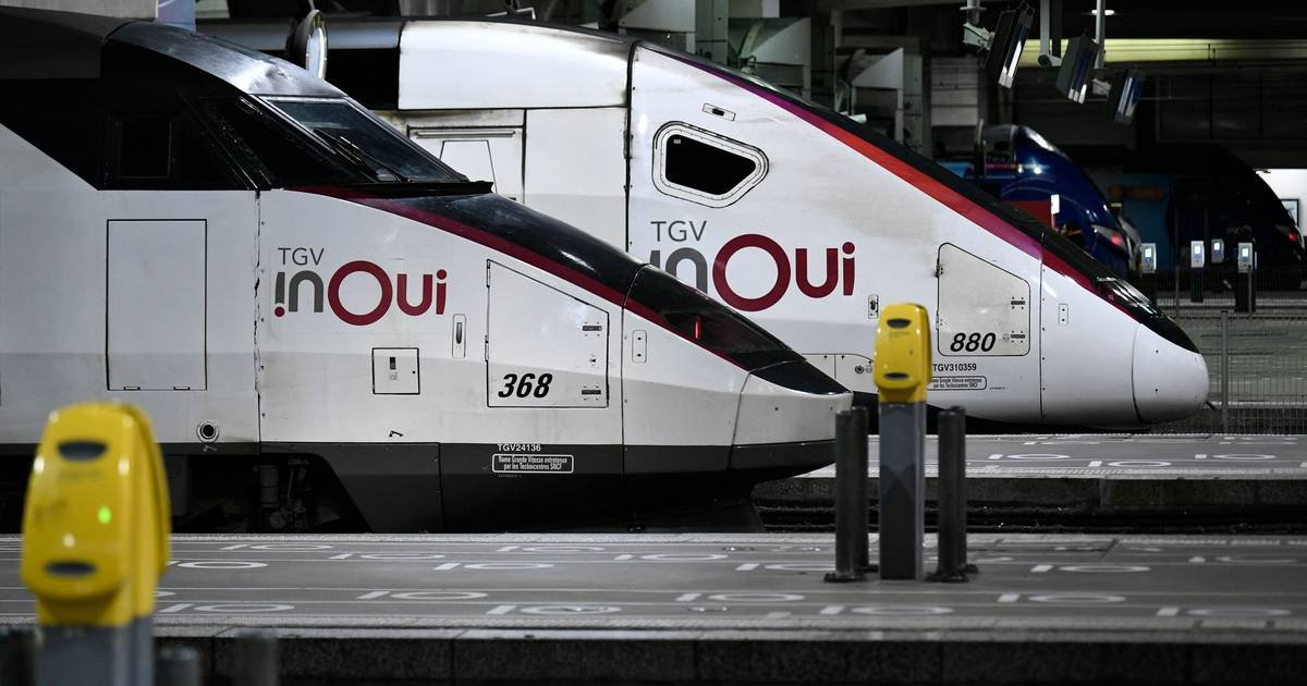 Il gatto in fuga sconvolge i treni di Parigi: un’ora di ritardo del TGV |  strano