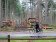 Staatsbosbeheer heeft flink wat bomen gekapt bij de Regentesselaan in Wageningen