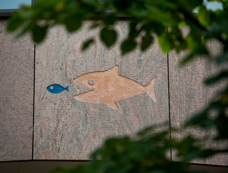 Woordvoerder rechtbank Limburg:  ‘De kern van de zaak is dat eisers de Staatsloterij onrechtmatig handelen verwijten en een schadevergoeding vorderen’. Beeld ANP