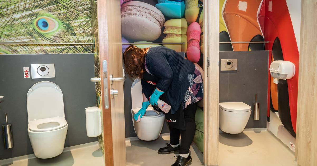 Medisch typist Kwaadaardige tumor In Utrecht vind je makkelijk een toilet, maar in Vijfheerenlanden en  Nieuwegein moet je zoeken | Utrecht | AD.nl