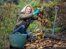 Dit is hét geheim voor een stralende tuin