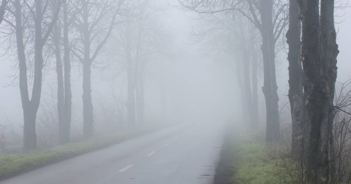 Code geel vanwege dichte mist: ruim 400 km file tijdens ochtendspits | Binnenland