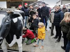 Kippen, varkens én vrachtwagens bij Boerenkerstroute