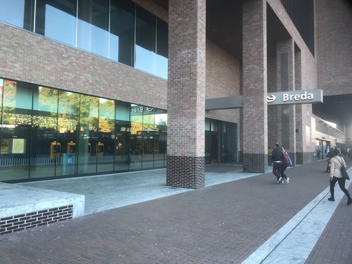 Opnieuw valt er steenstrip naar beneden op station Breda 'Constructie